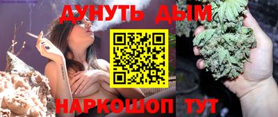 мдпв Обь