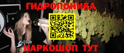 мдпв Обь