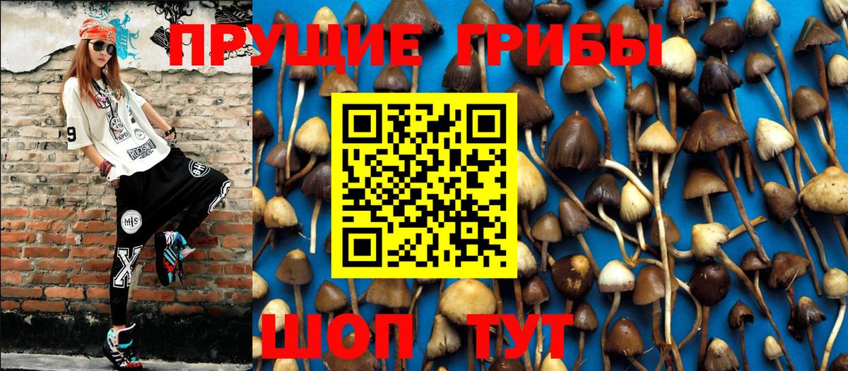 Нефтекамск  Псилоцибиновые грибы мухоморы  Вход с VPN 